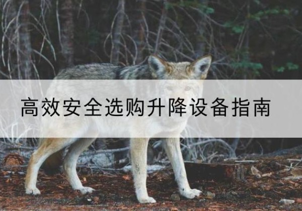 赫章升降货梯厂家推荐-*安全选购升降设备指南