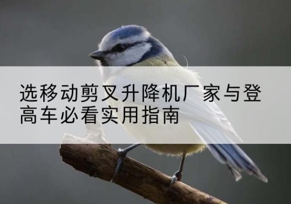 赫章电动升降机厂家-选移动剪叉升降机厂家与登高车必看实用指南