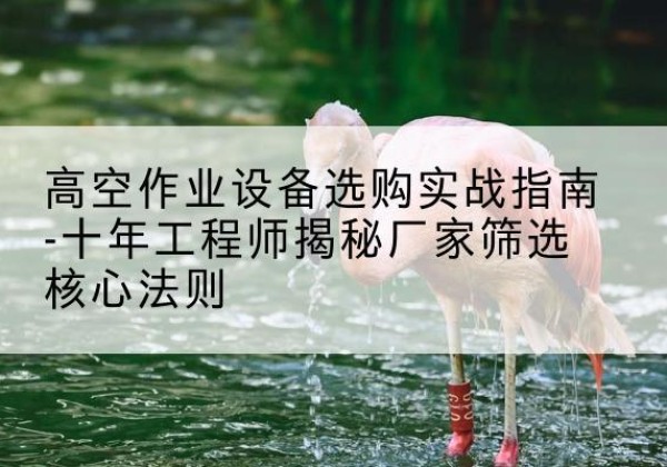 赫章剪叉式升降机厂家-高空作业设备选购实战指南-十年工程师揭秘厂家筛选核心法则